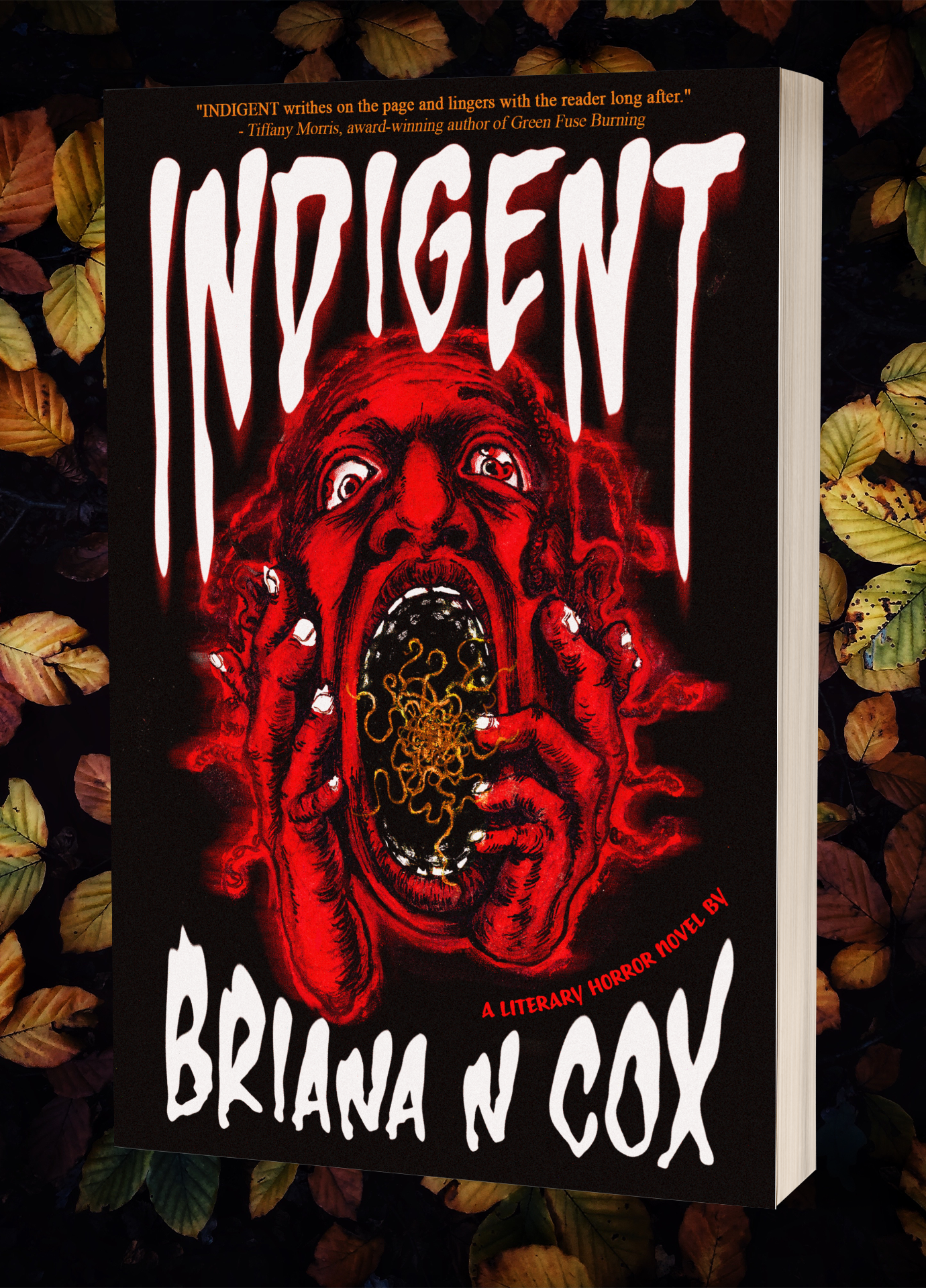 INDIGENT: A Literary Horror Novel by Briana N Cox