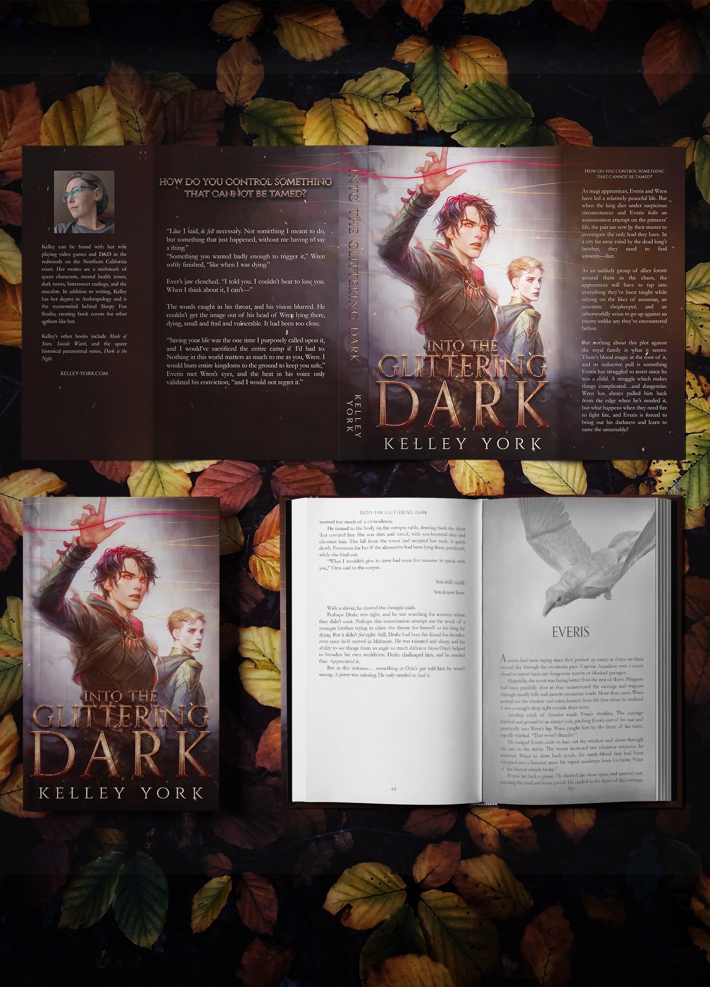 Hardcover copy of Into the Glittering Dark that shows the full dust jacket as well as the internal chapter art. The page depicted has a bird above the chapter title.