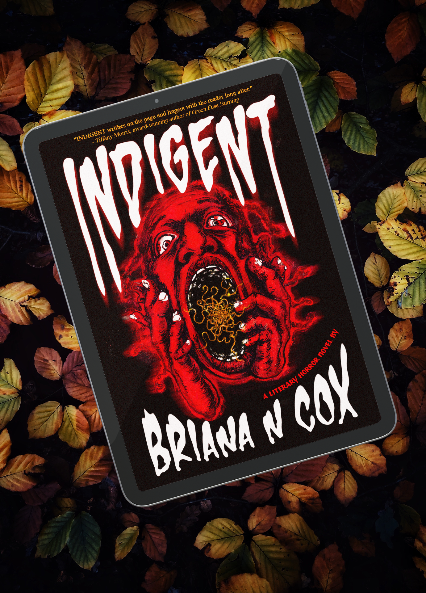 INDIGENT: A Literary Horror Novel by Briana N Cox