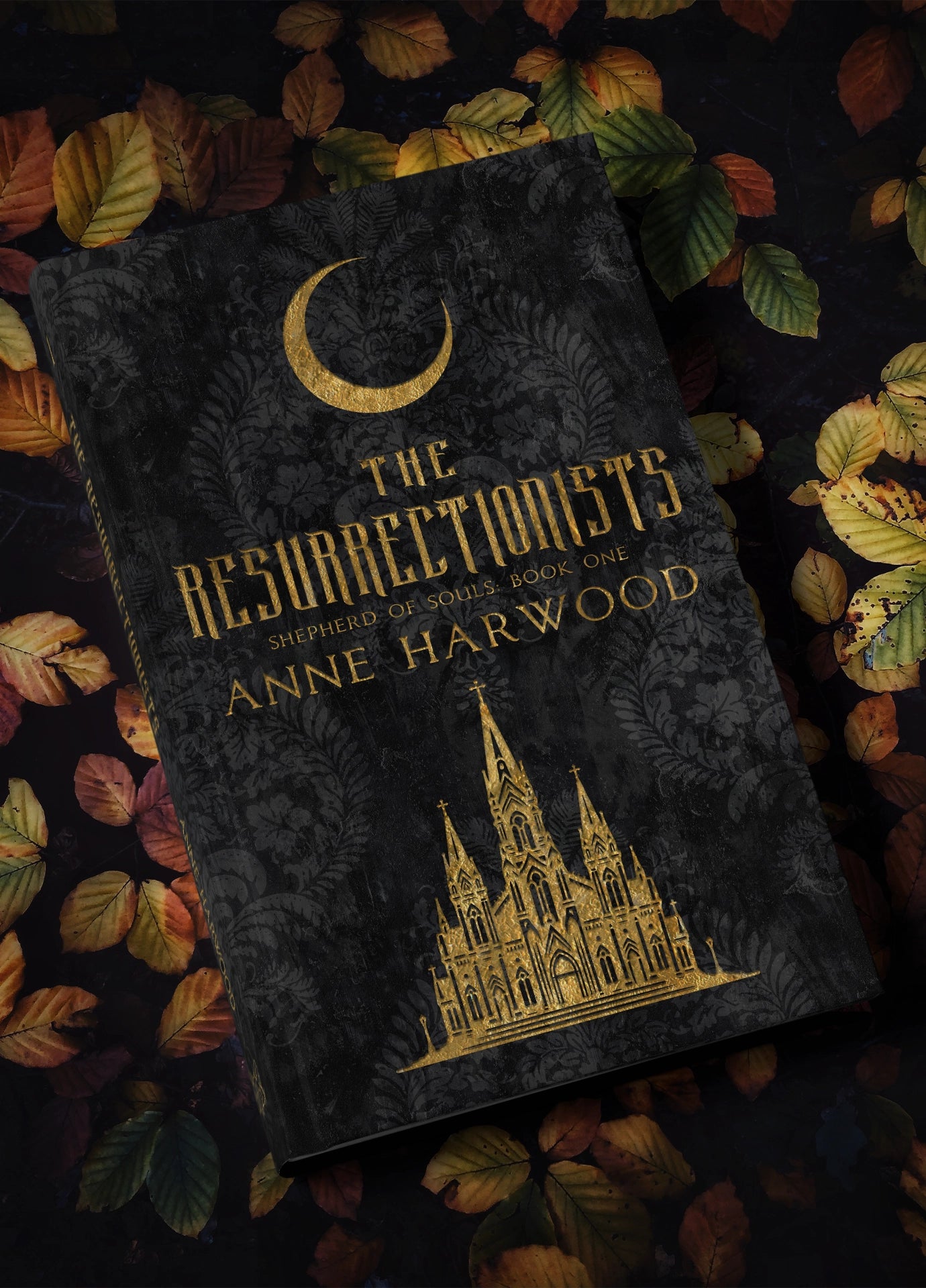 Shepherd of Souls Book One: The Resurrectionists by Anne Harwood