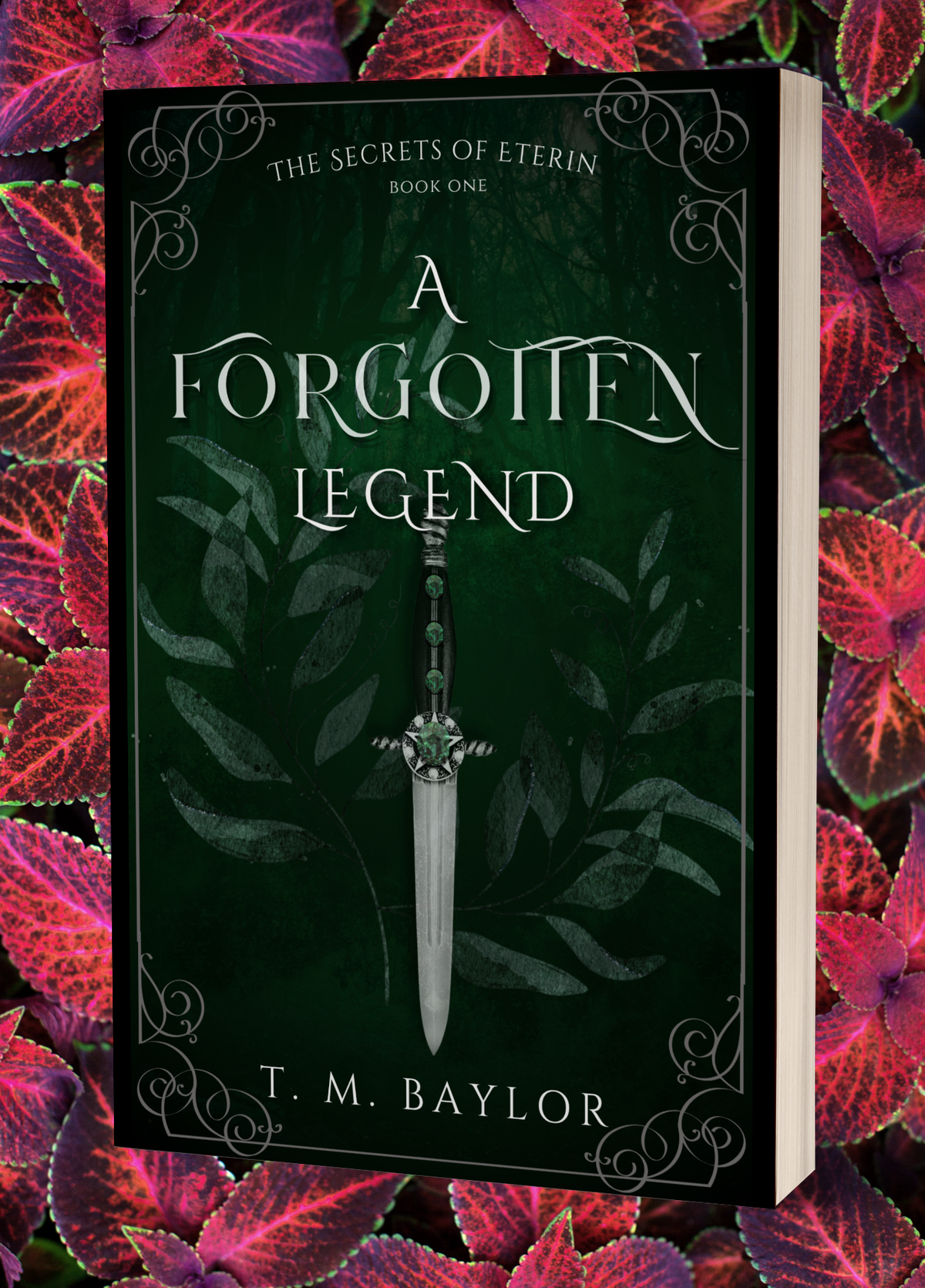A Forgotten Legend (The Secrets of Eterin Book 1) - A Dark Fantasy Novel by T.M. Baylor