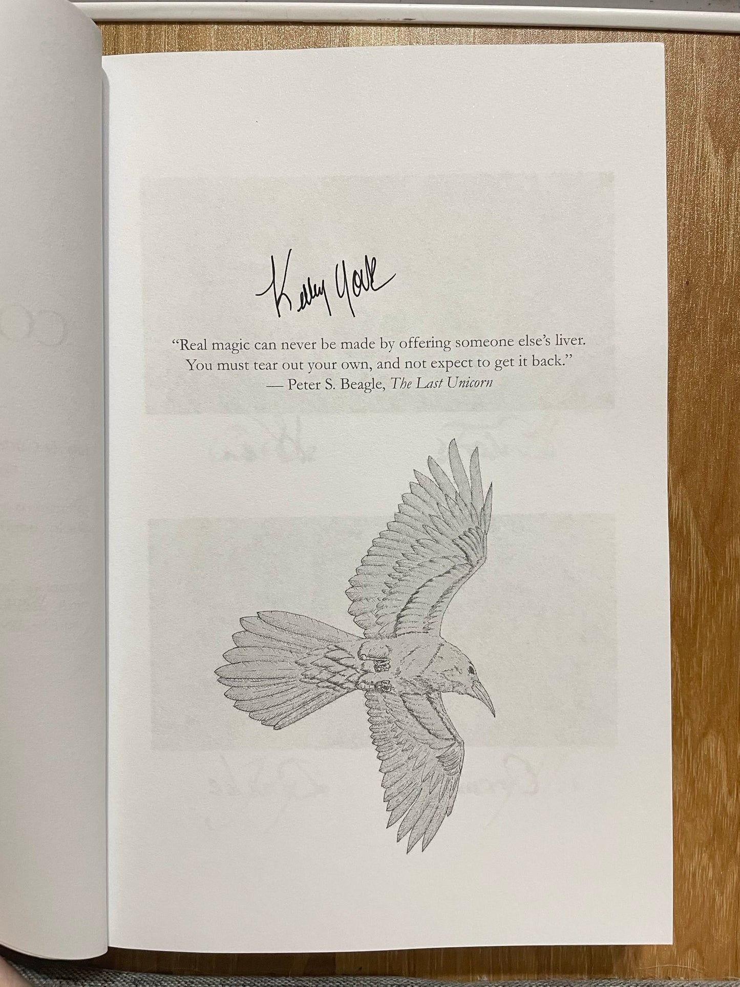 Into the Glittering Dark by Kelley York